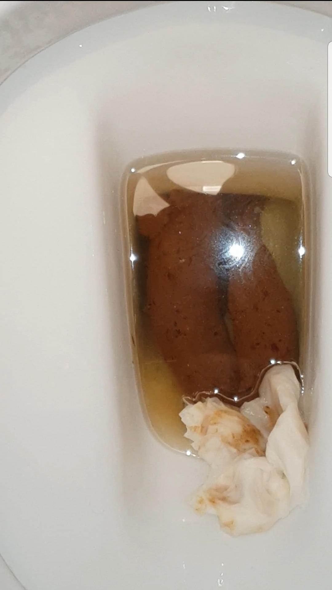 alyssa myer add Flush Away Porn photo