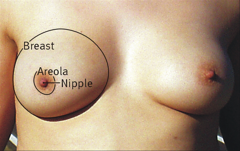 allan avendano add Big Niples Boobs photo
