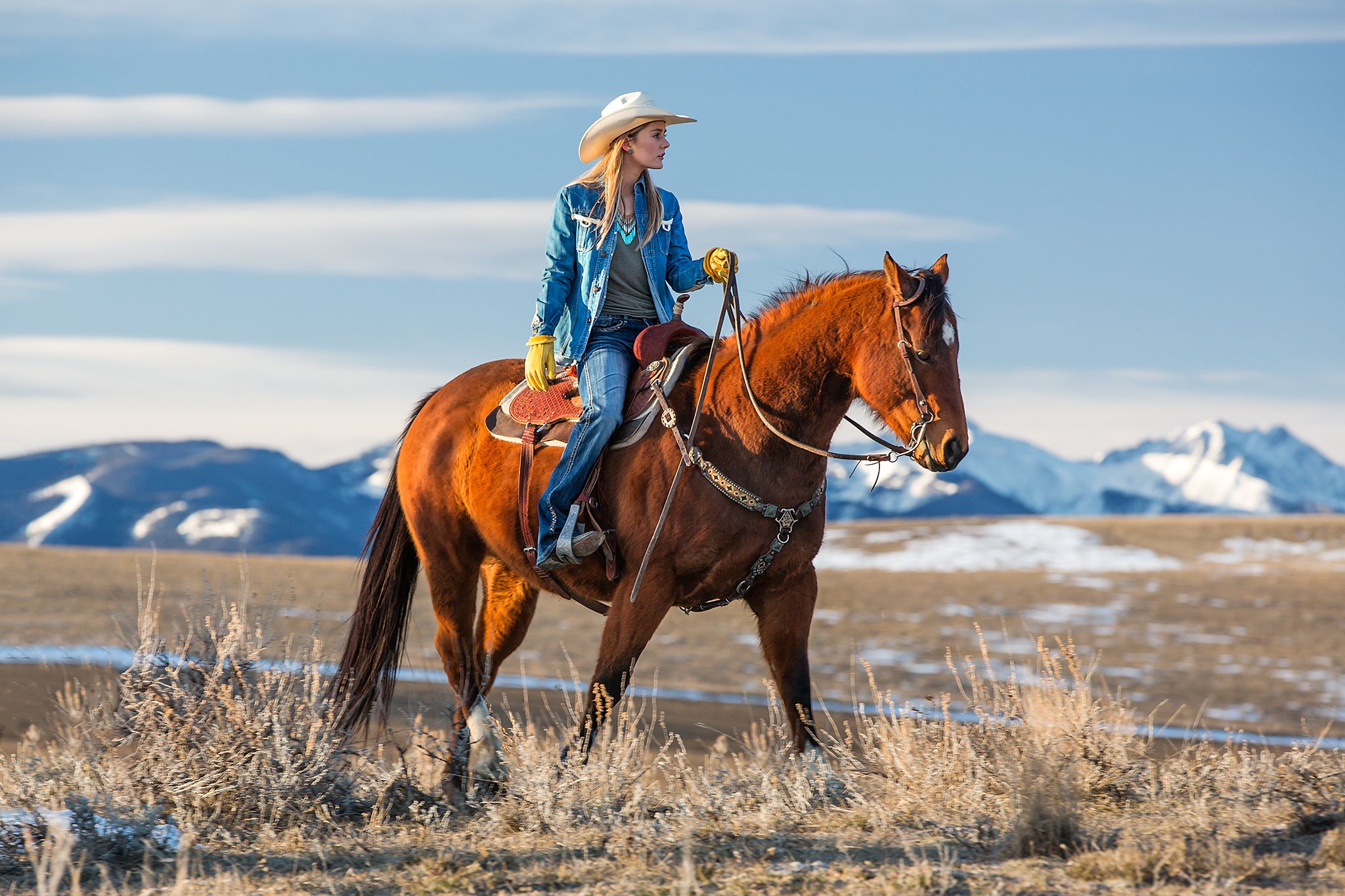 ashley m add Bigtits Cowgirl photo