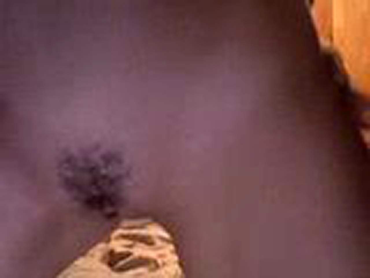 beatus stanslaus add Bijou Philips Nude photo