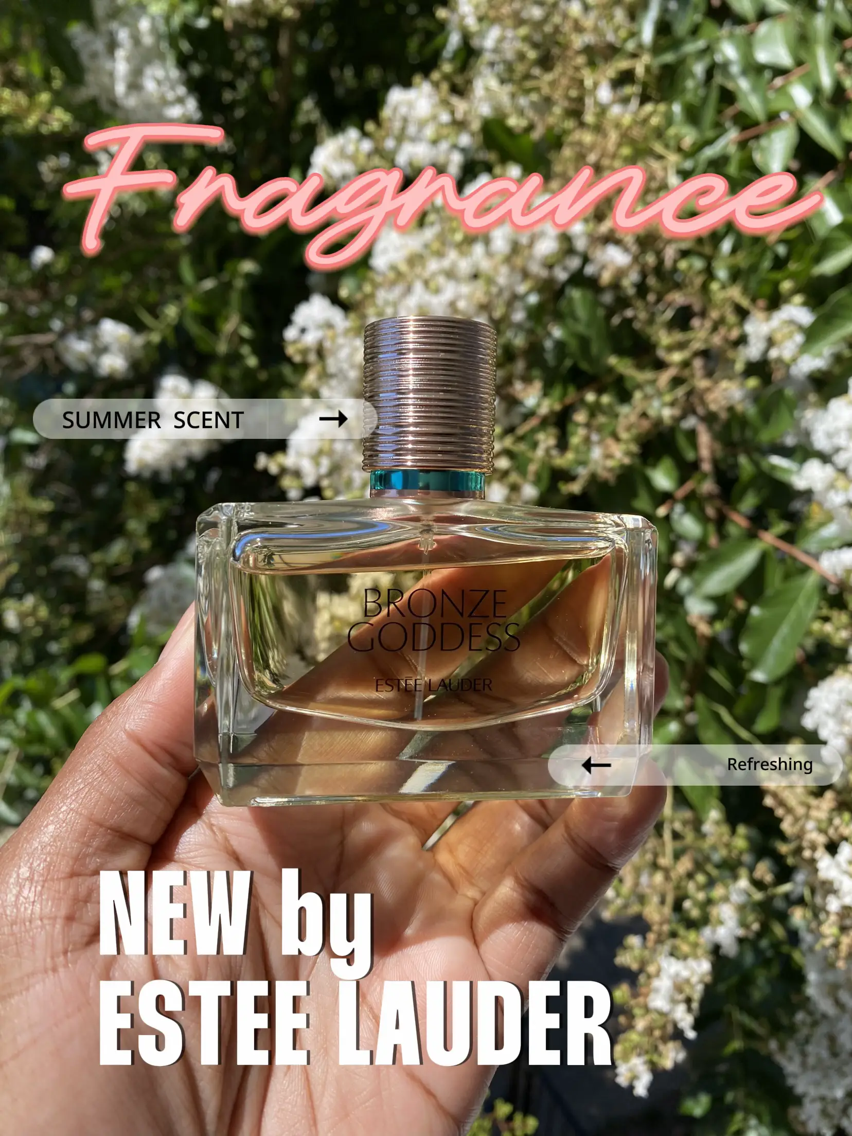 dave hinch add Bronze Goddess Pov photo