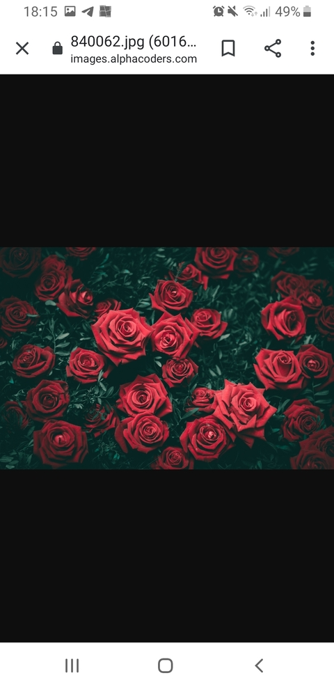 amanda ruddick add Nocarekali Xxx photo
