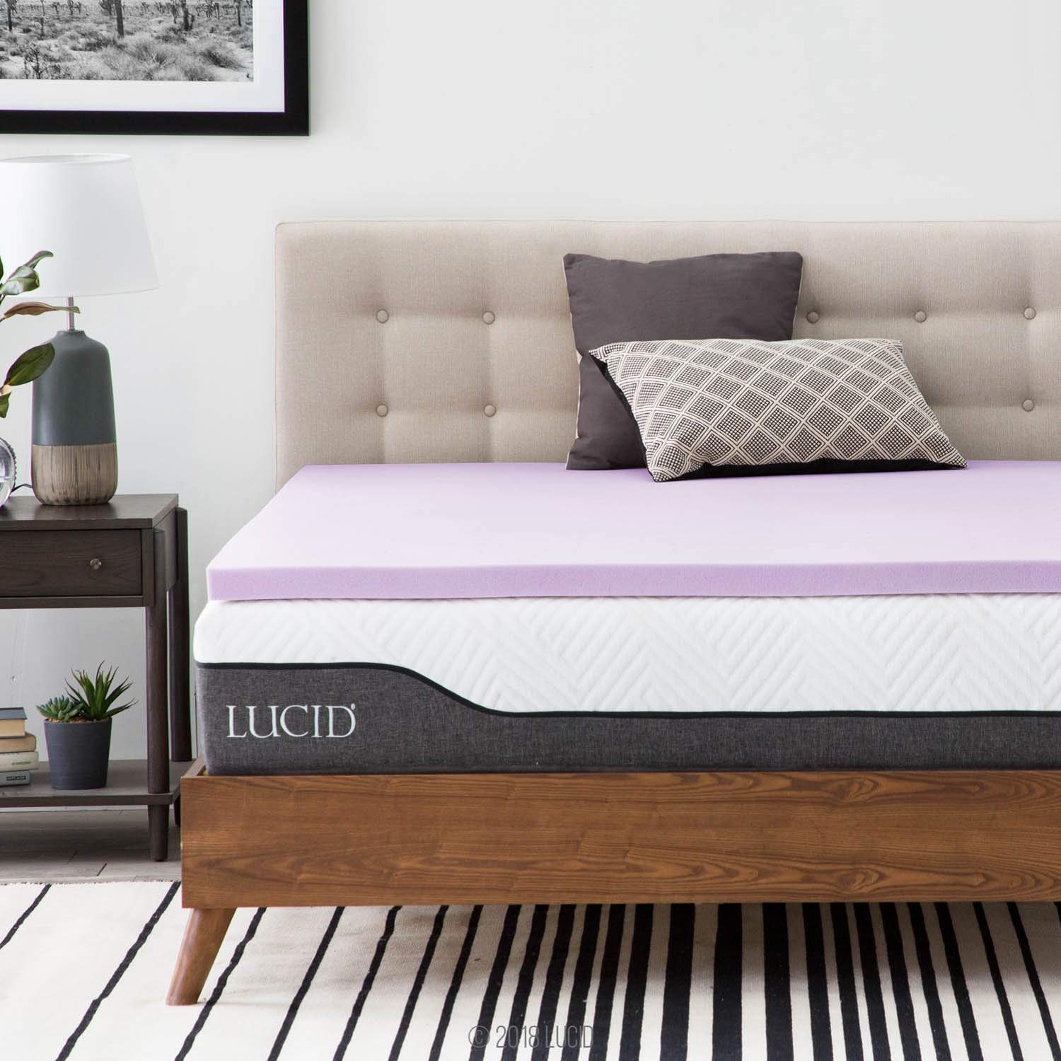 dave cosh add Lucid Lavender Joi photo