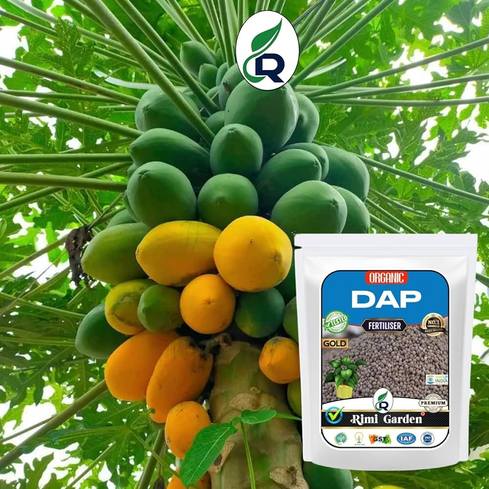baha issa add Woody Dap photo