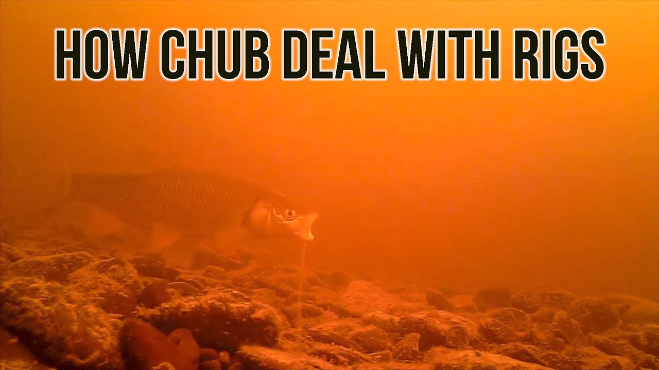 alex fishbaugh add Chub Jerks Off photo