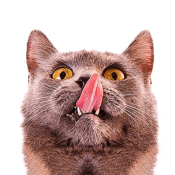 angela montague add Closeup Licking photo
