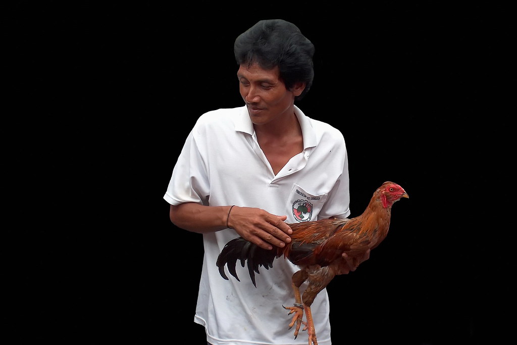 ashley romaine add Cock Holding photo