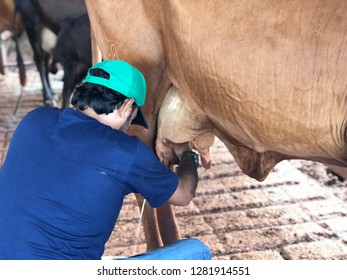 carmen daignault add Cowgirl Milked photo
