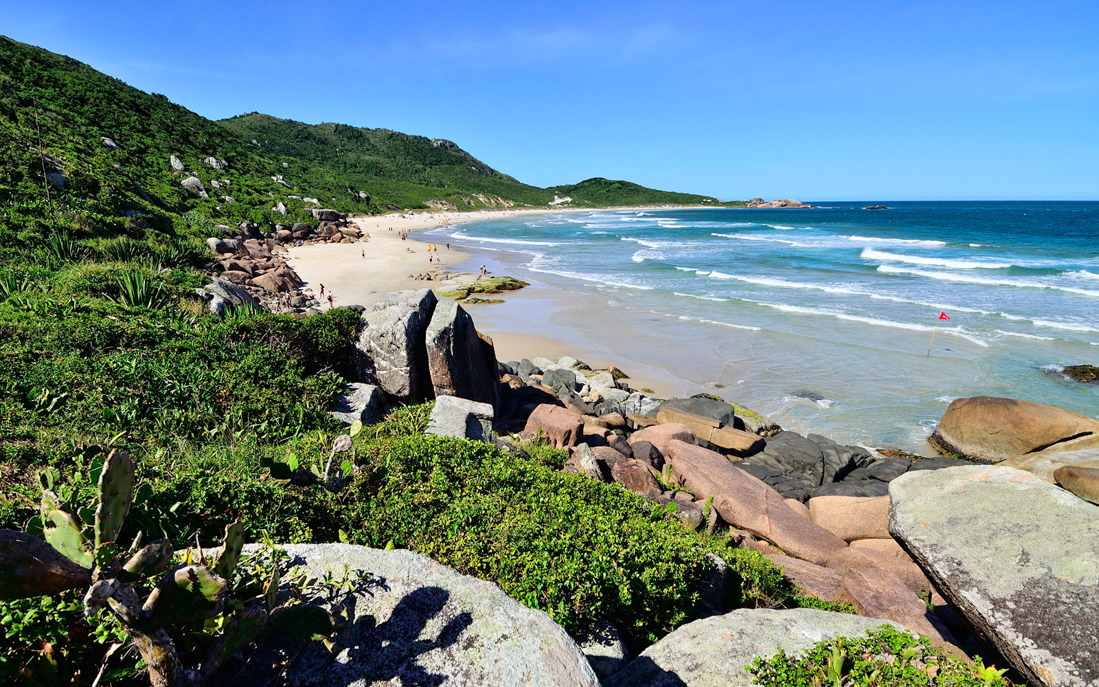 aimee insull add Brazilian Family Nudists photo