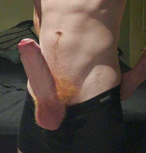 anita agustin add Ginger Penises photo