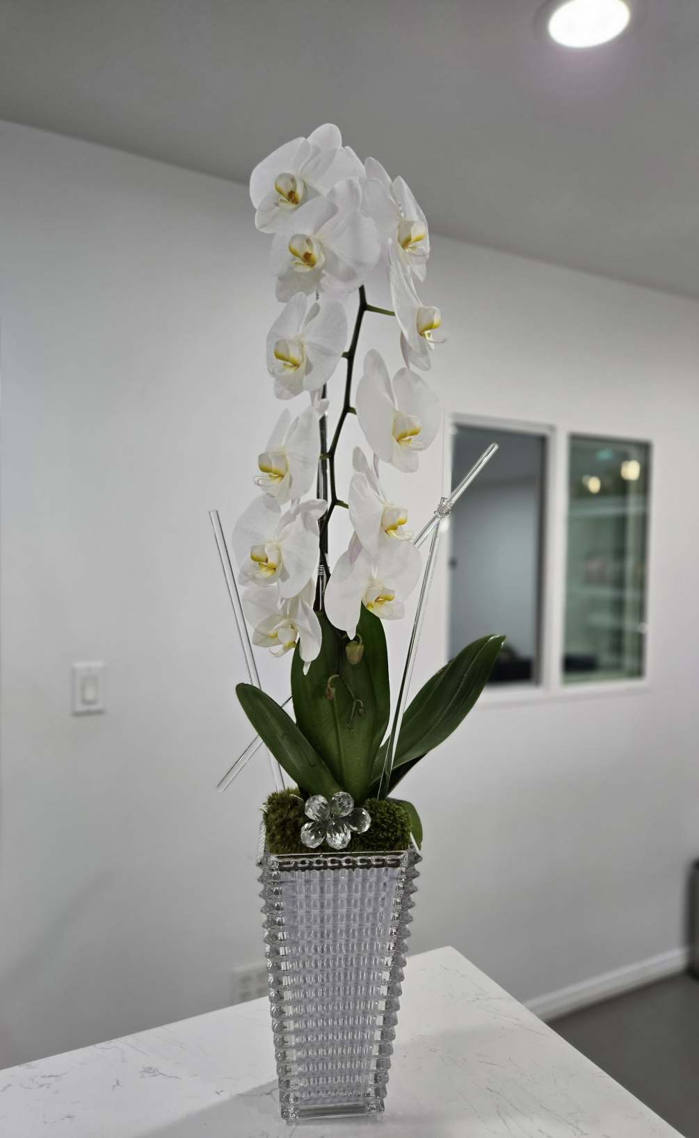 christie van zyl add Krystal Orchid photo
