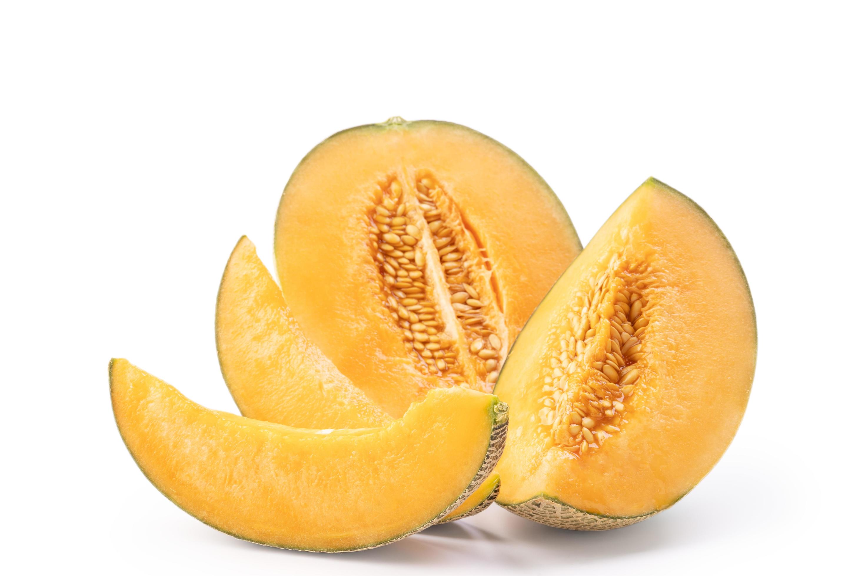dominic caruso add Melons Clips photo