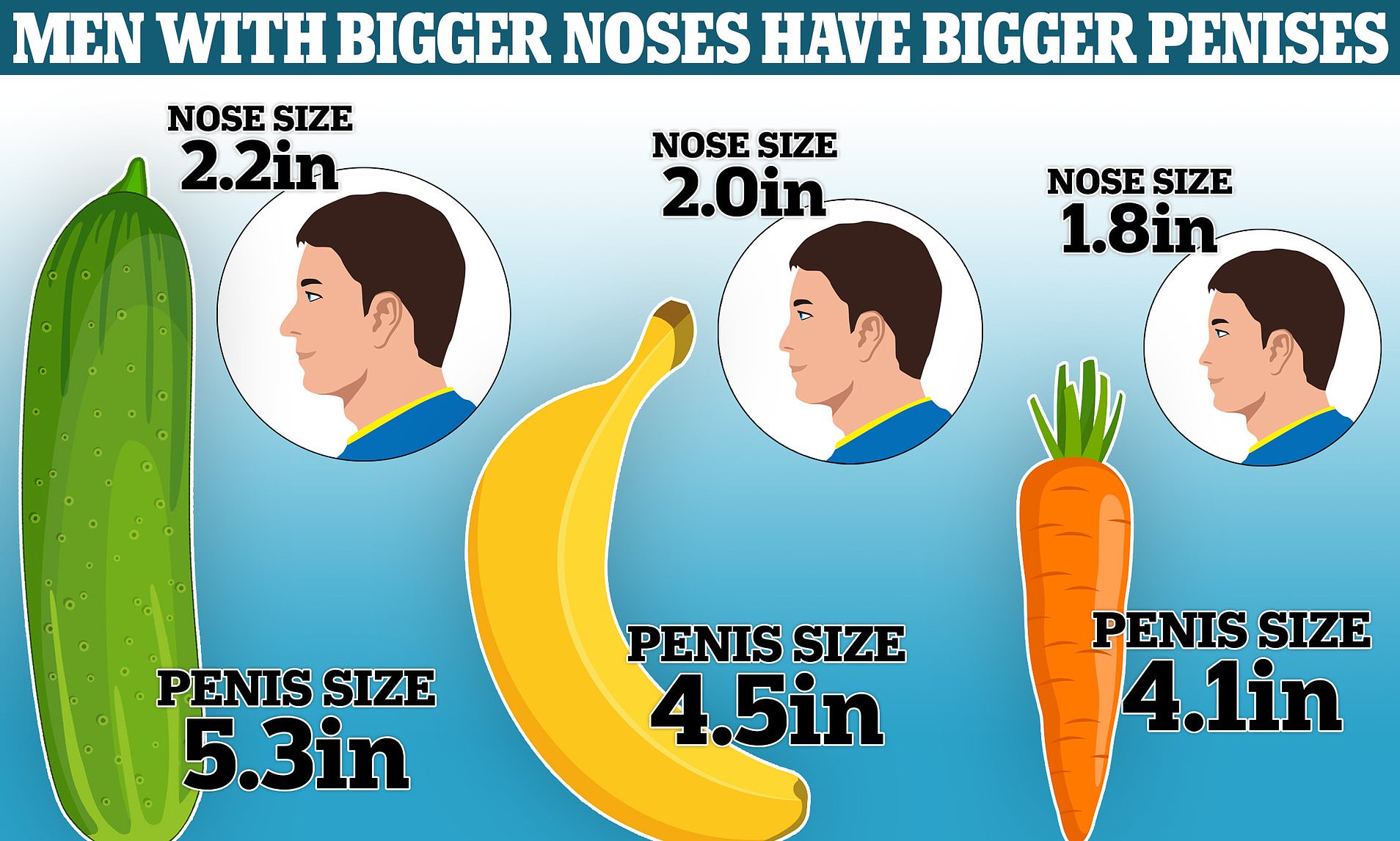 Pictures Of Large Penises 13925