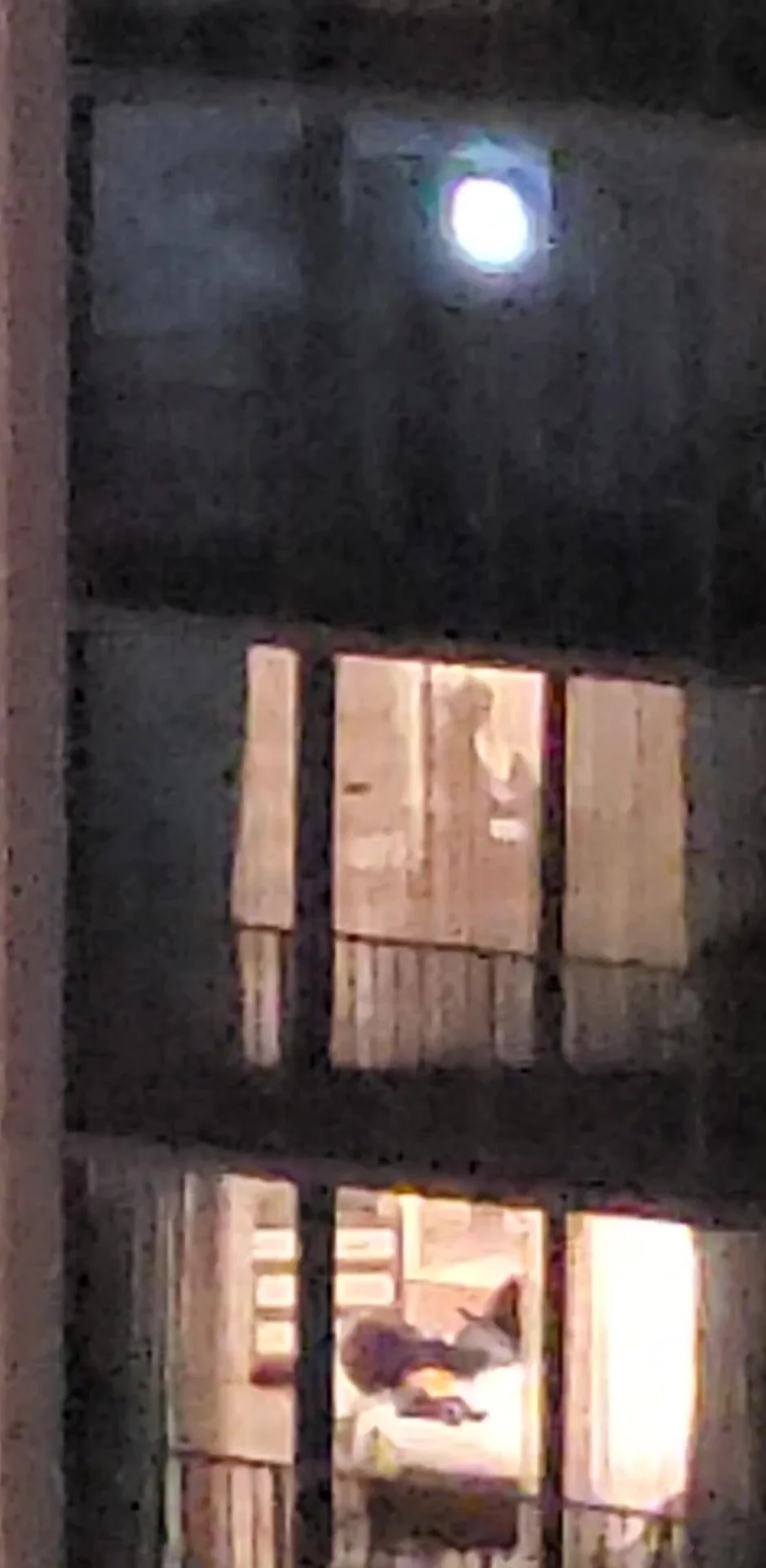 bernard velarde add Hotel Voyeur photo