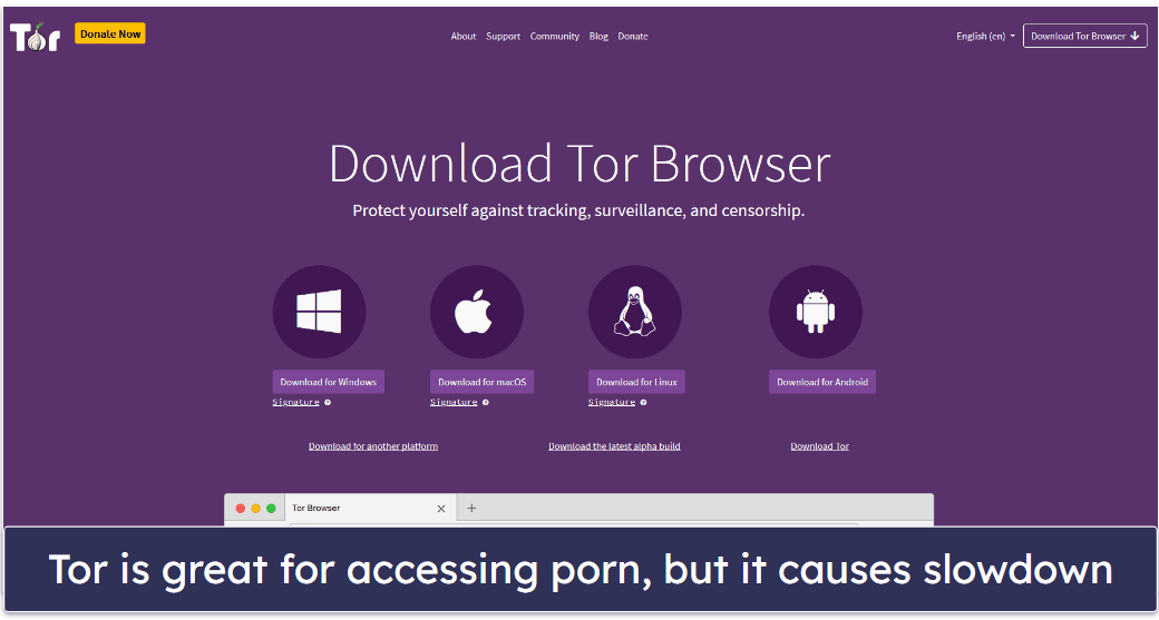 azhar jaa add Dark Porn Websites photo