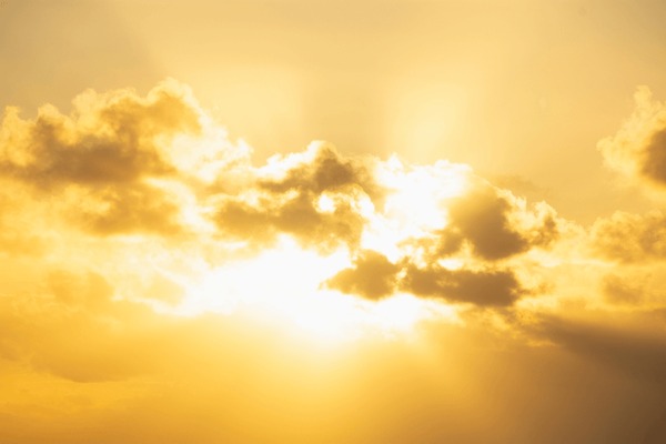 badr madani add Chelsy Sun photo