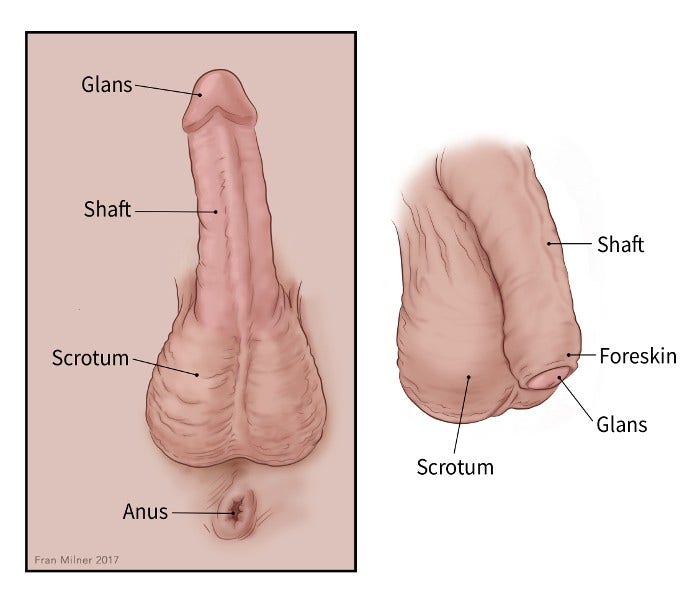 chapman yan add Do Black People Really Have Bigger Dicks photo