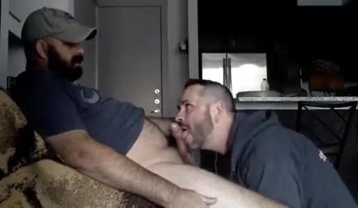 Hairy Bj 14529