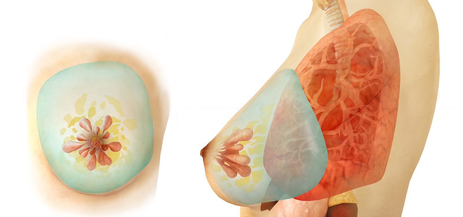 akira smith add Massive Lactating Breasts photo