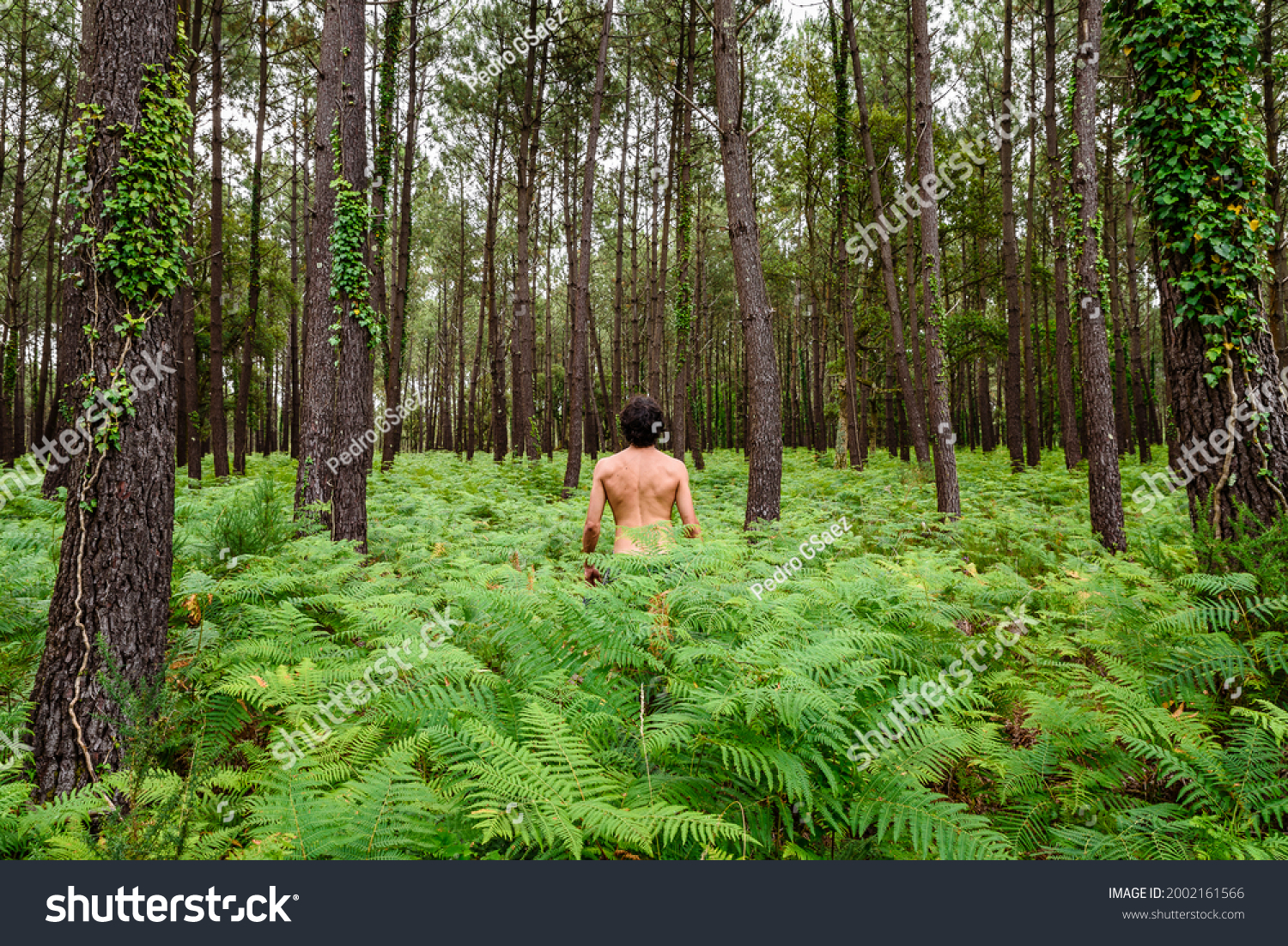 claude bouvier add Naked Natural Men photo