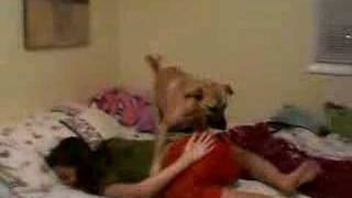 brianna andrade add Humping Hidden photo