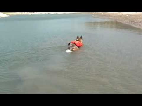 alison lasher add Cruisingcams Com photo