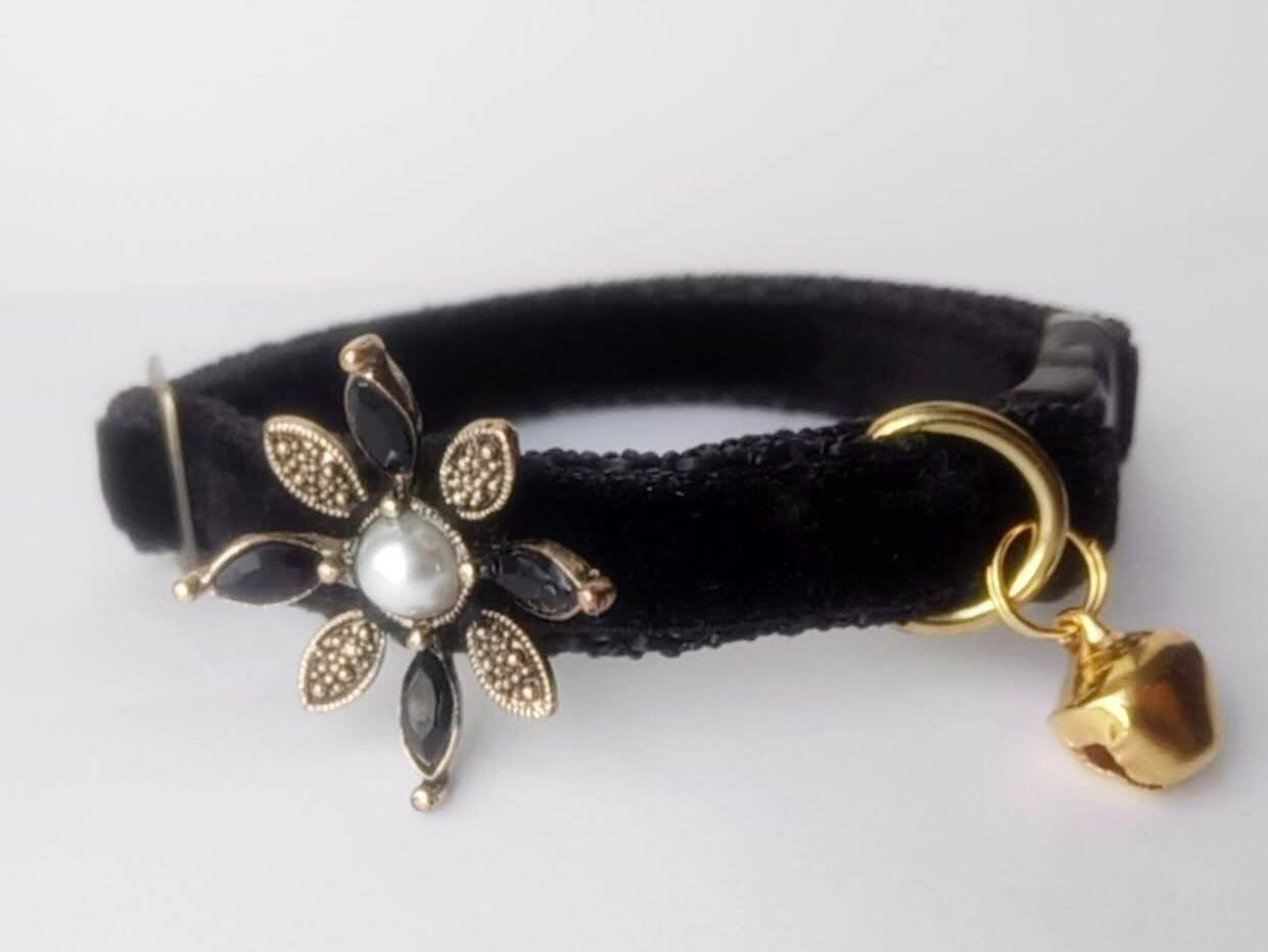 buck ramsay add Goth Cat Collar photo