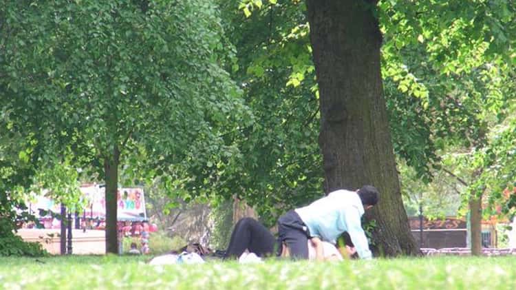dianne waugh add Voyeur Park photo