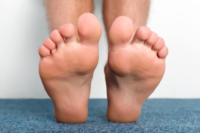 ann haswell add Phoenix Marie Feet photo