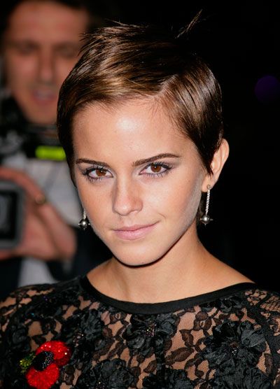andrew kurz add Emma Watson Hot Porn photo