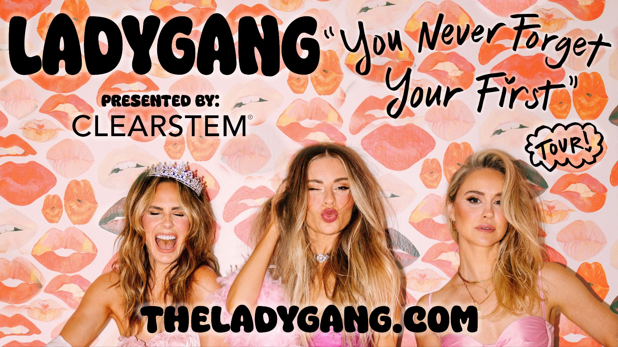 Ladygang Porn 18528