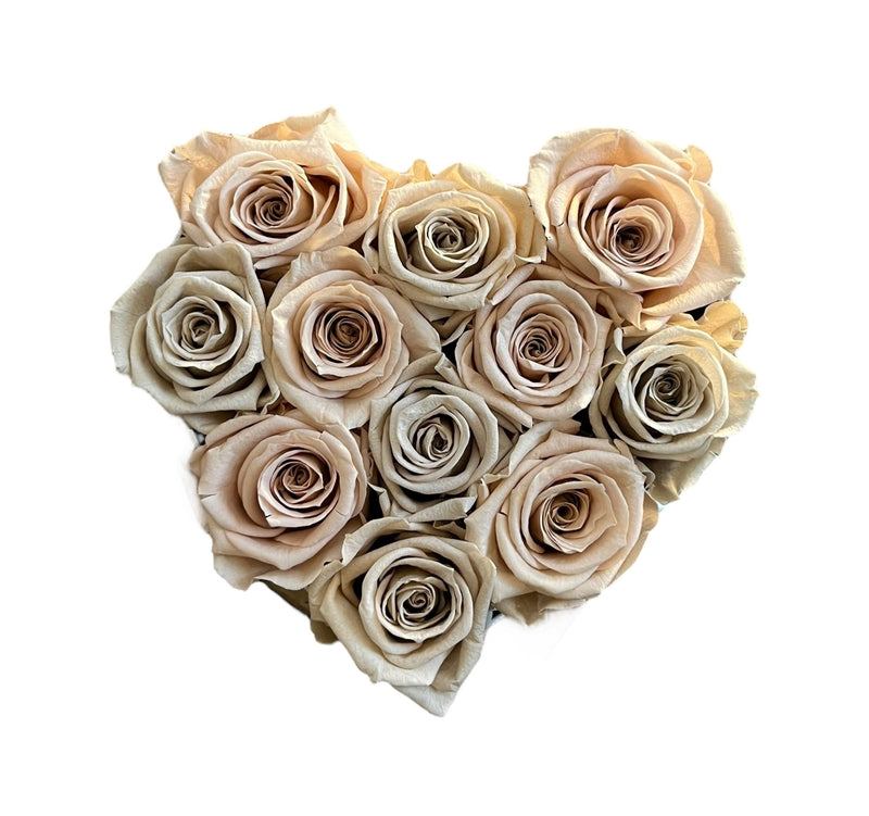 charbel ojeil add Rose Heart Nude photo