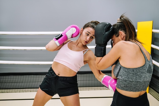 carlo chu add Female Stomach Punch photo