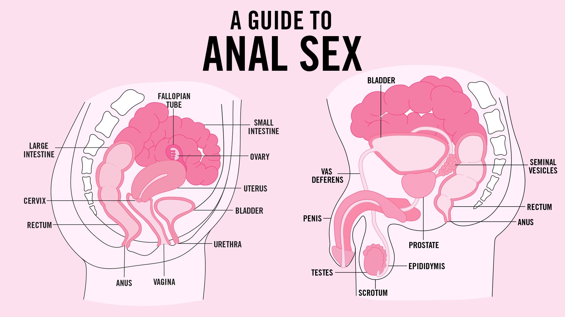 curtis keating add First Anal Hurts photo