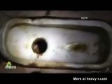 aishwarya nair add Flush Away Porn photo