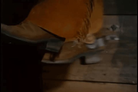 diego lotero add Foot Torture Videos photo
