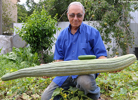 david silvera add Fucking A Cucumber photo