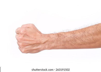 Gay Hairy Fist 15274