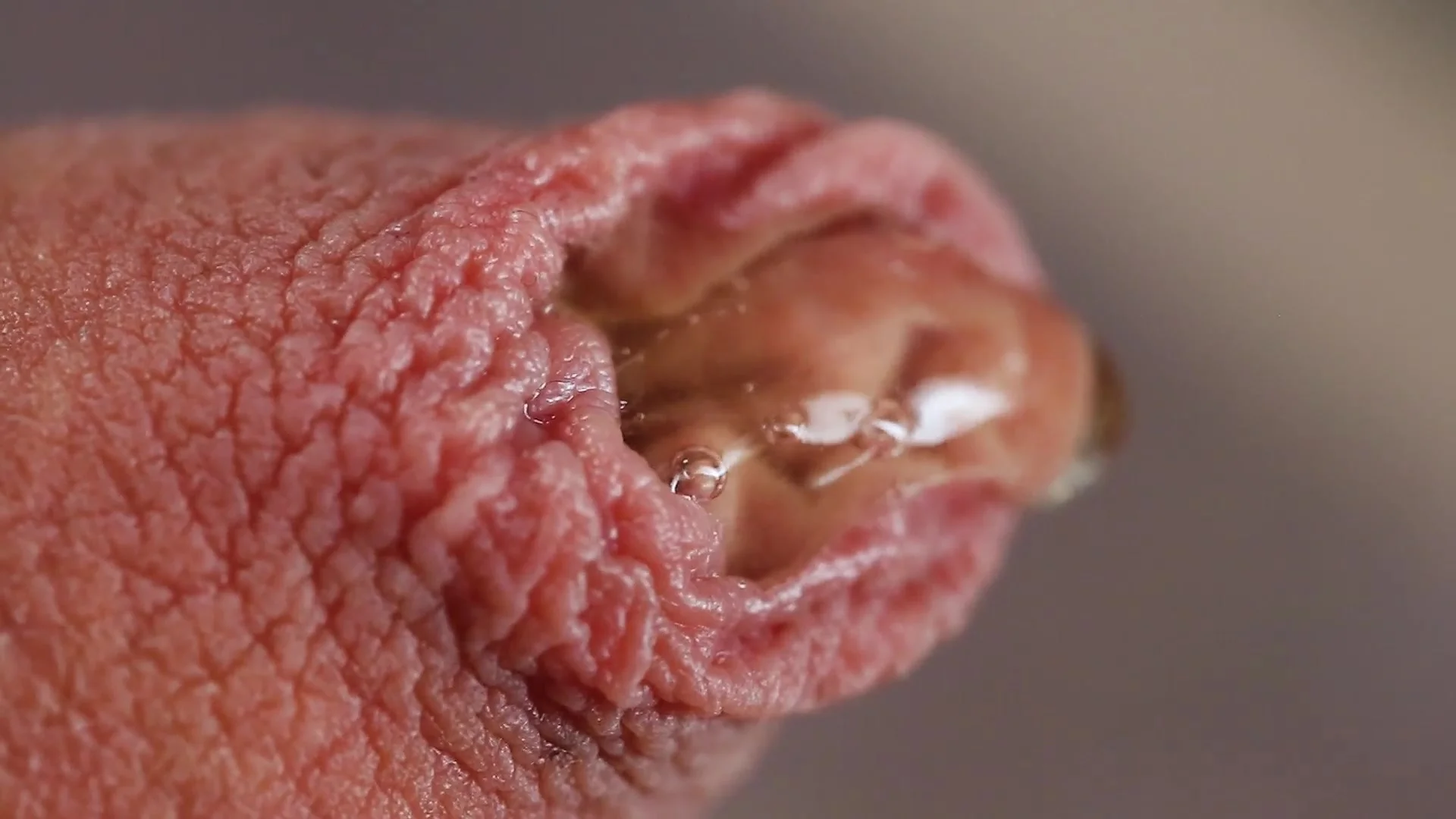 brandon hansell add Gay Porn Foreskin photo