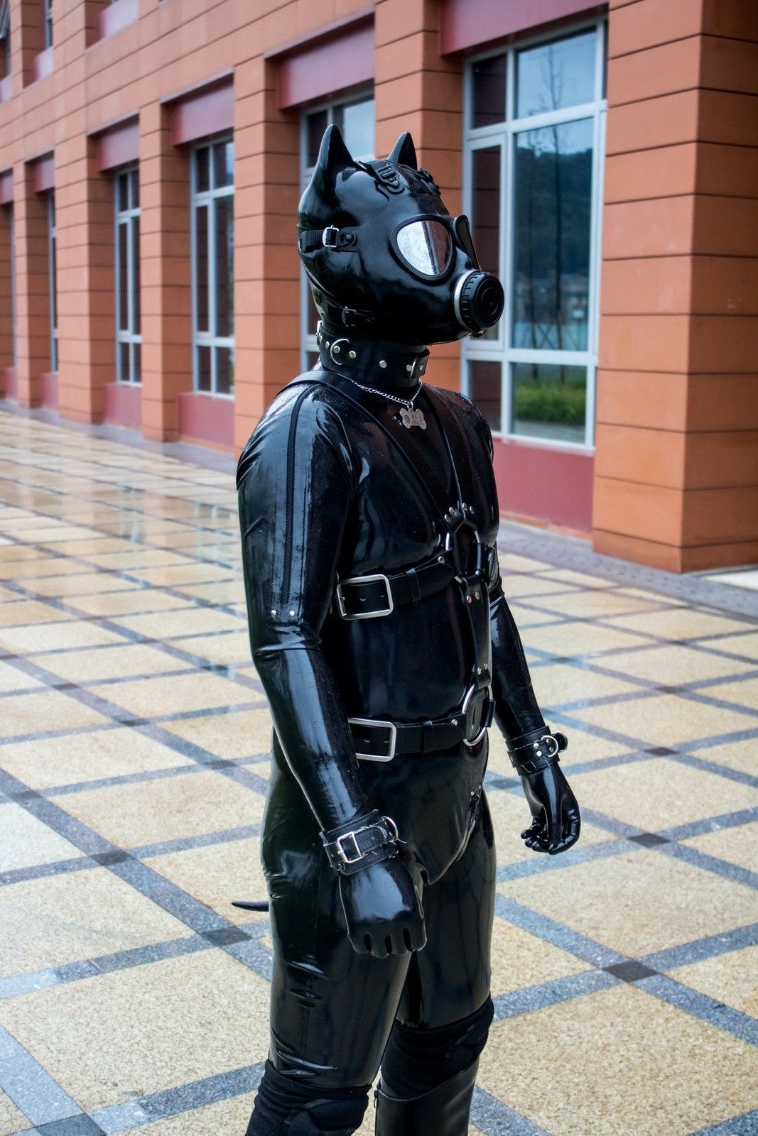 beau paterson add Guy Bdsm photo