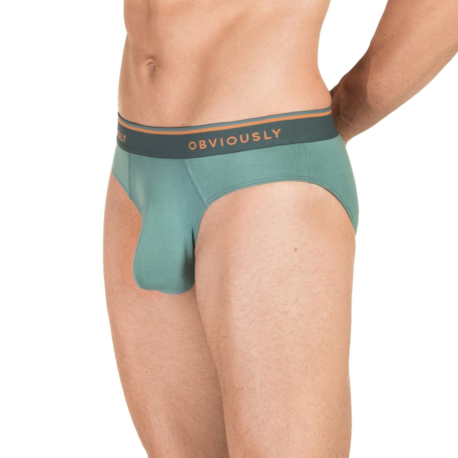 Hairy Men Underwear 1129