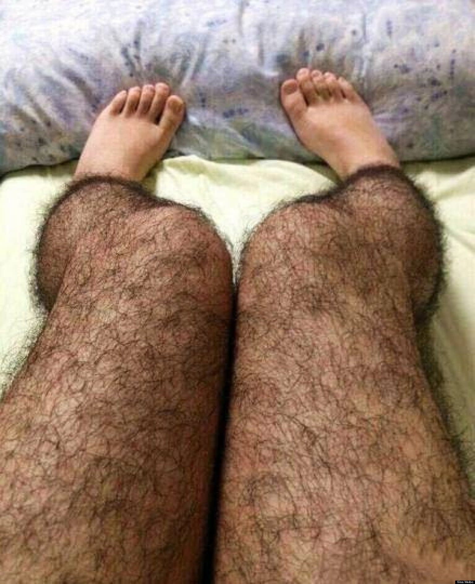 daffy daff add Hairy Spread Legs photo
