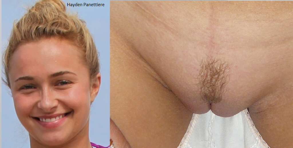 caz armstrong add Hayden Panettiere Nude photo