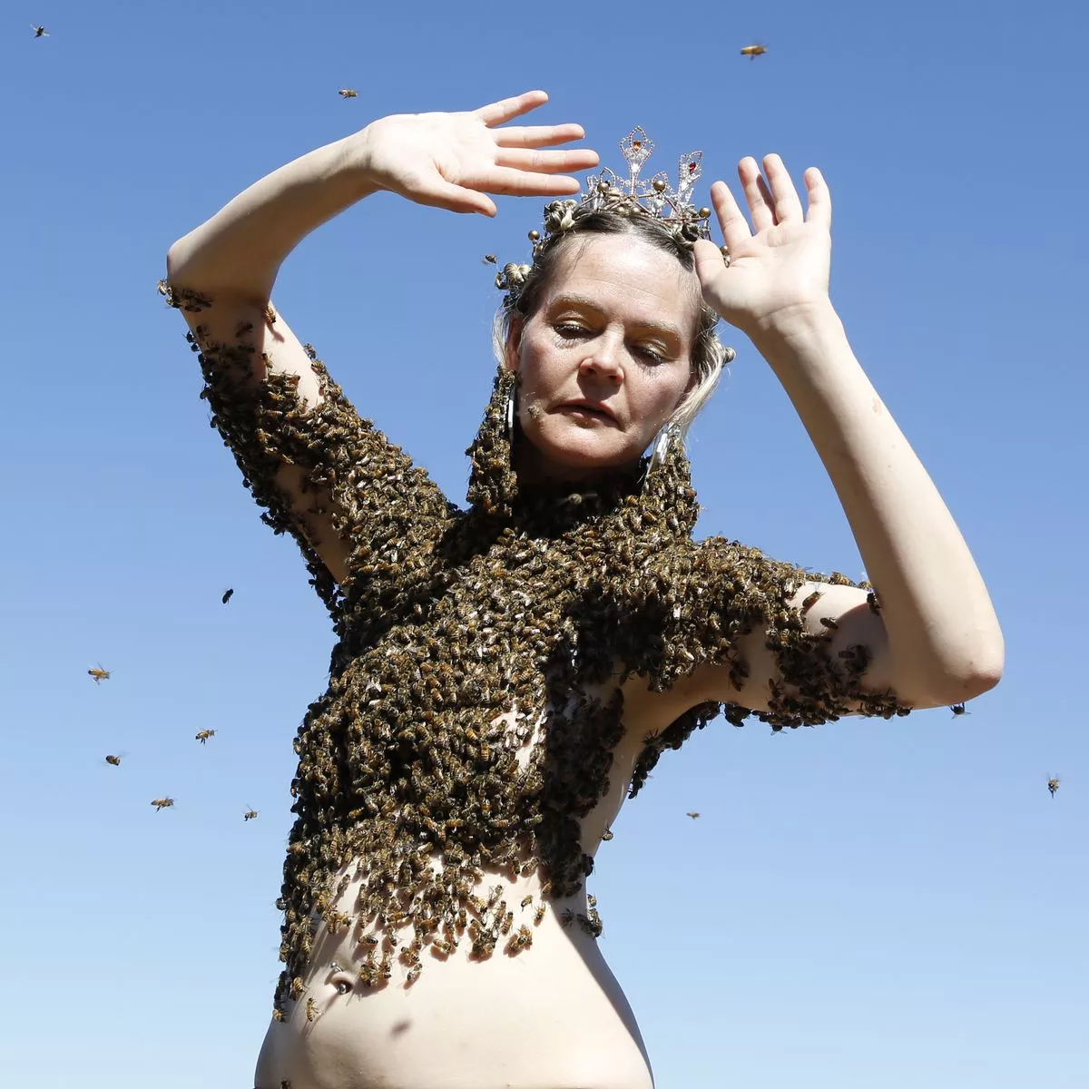 ben volschenk add Honey Bee Nude photo