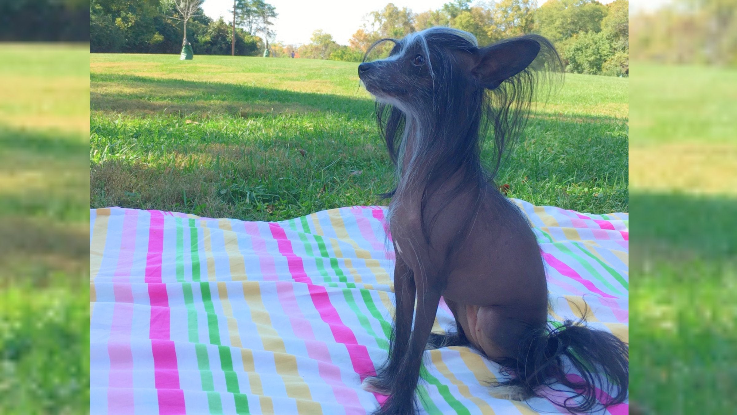 amy marie ellis add Hot Asian Doggy photo