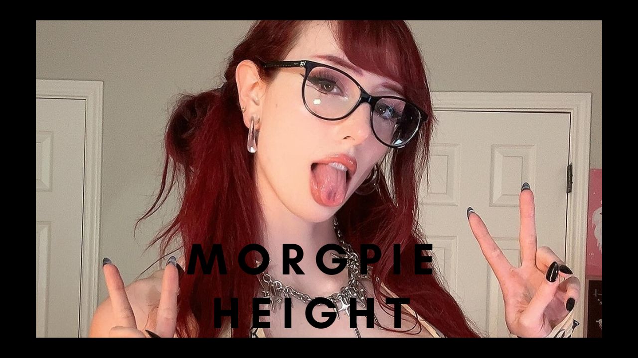 billy colley add How Tall Is Morgpie photo