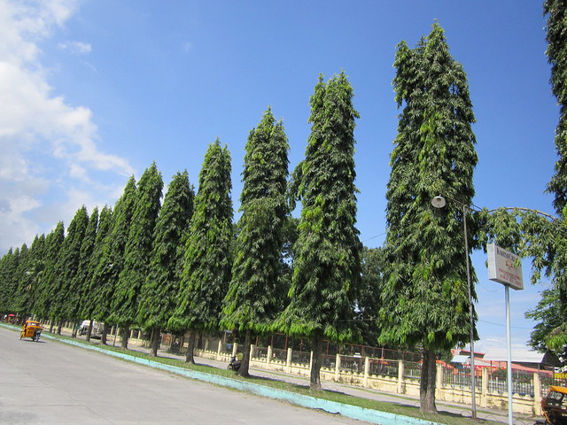 aaron rabinowitz add Indian Treesome photo
