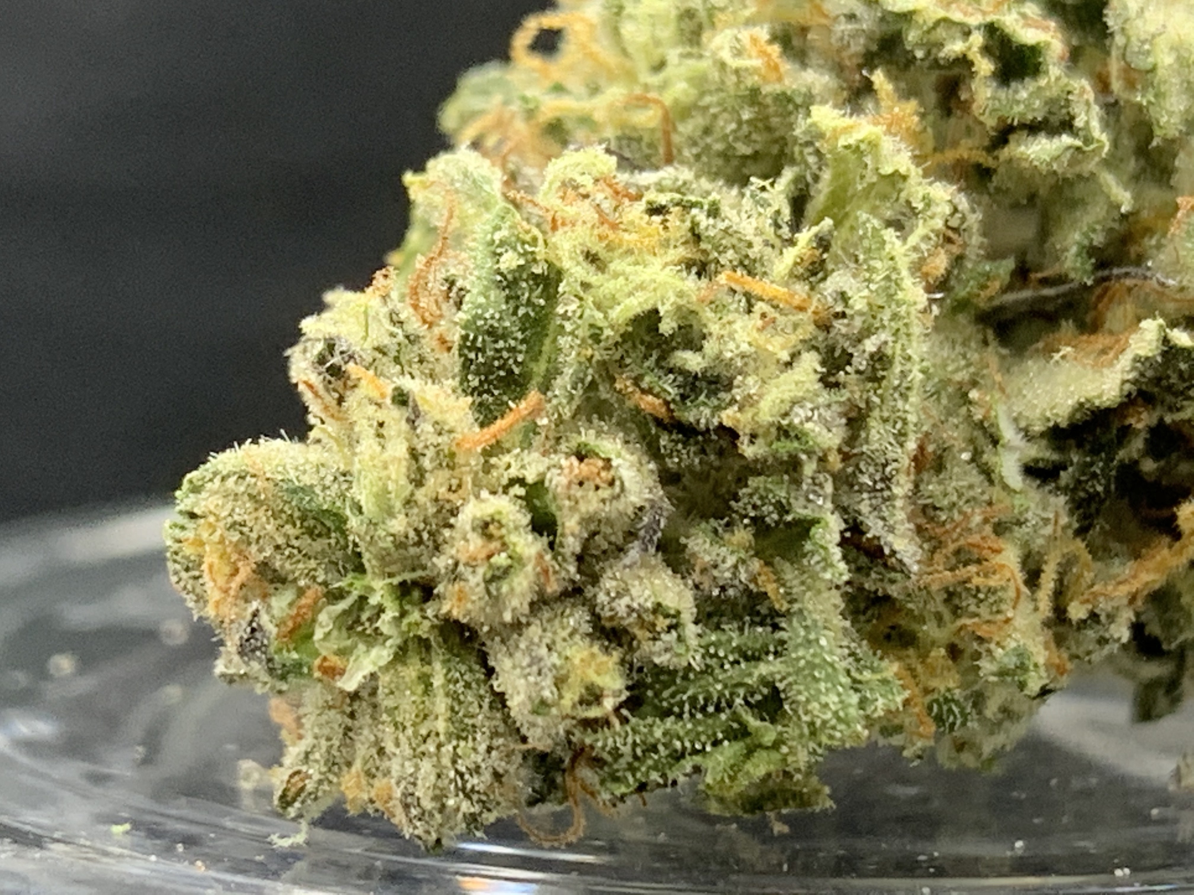 christine khong add Indica Flower Hd photo