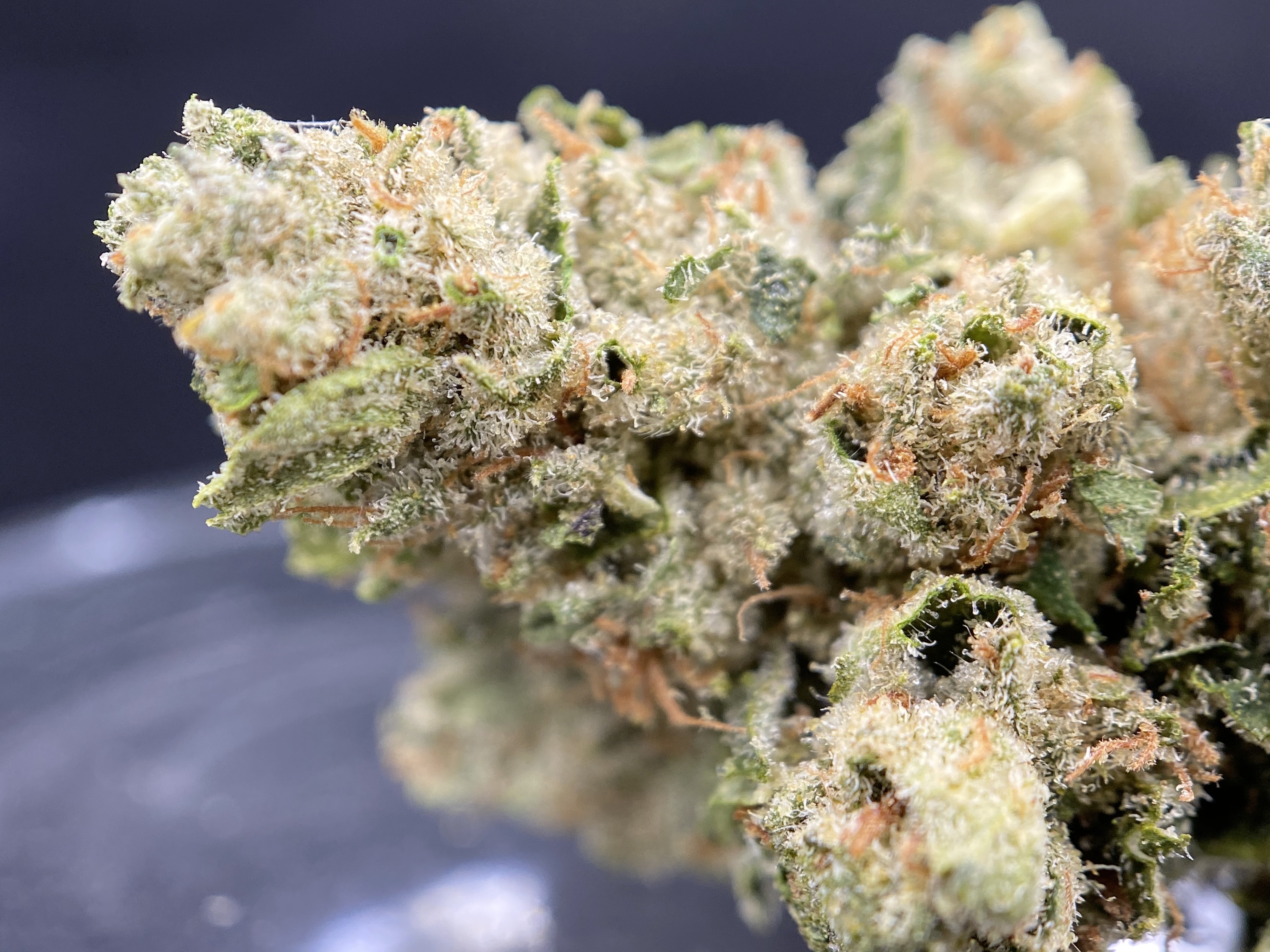 bruno mulenga add Indica Flower Hd photo