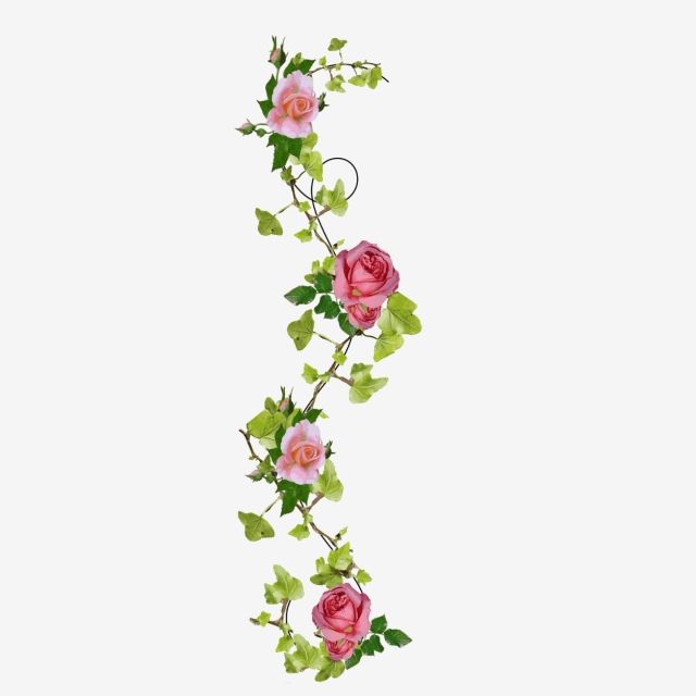 christi schenck add Ivy Rose Free Use photo